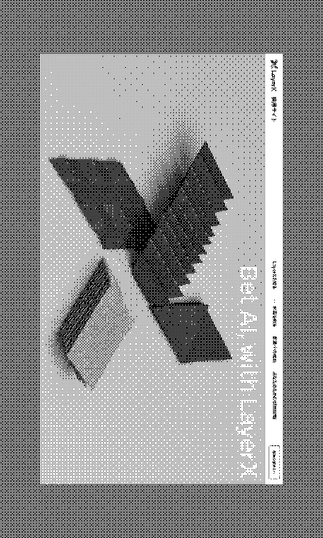 LayerX 採用サイト